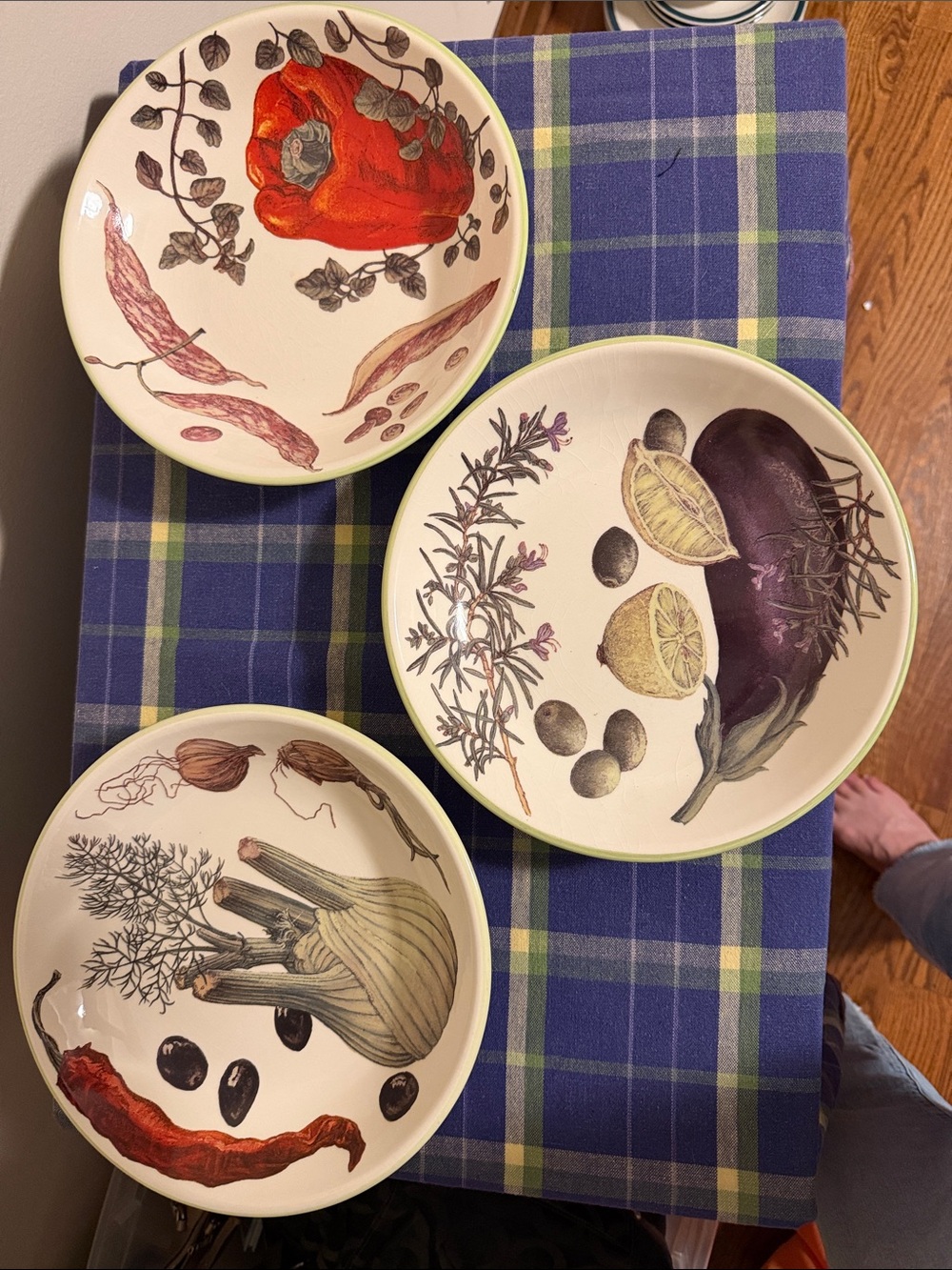 William Sonoma retired vegetable Pasta Bowls - from Portugal - set of 3